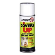 Covers Up Ceiling Paint