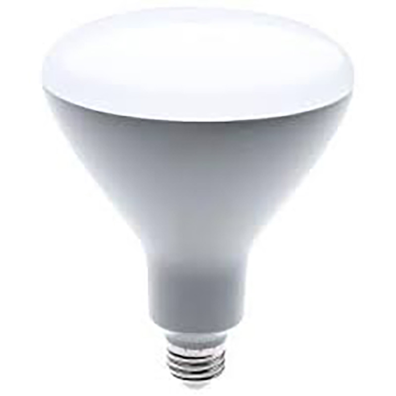 65W Br40 Halogen Flood Lamp