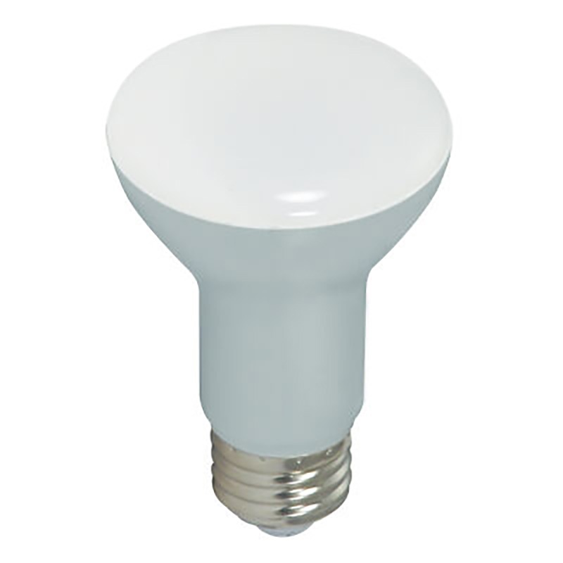 R20 Led Bulb