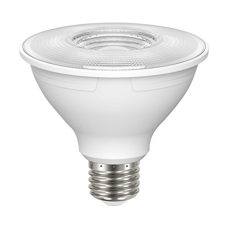 60W Par30-L Halogen Flood Lamp