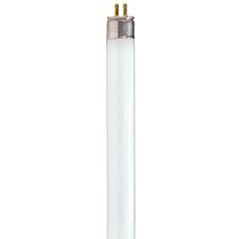 12" F8T5 8 Watt Cool White 2-Pin Fluorescent Bulb