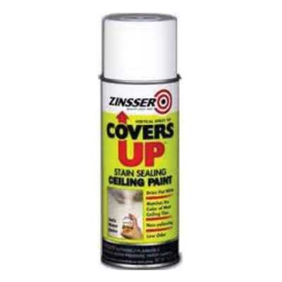 Covers Up Ceiling Paint