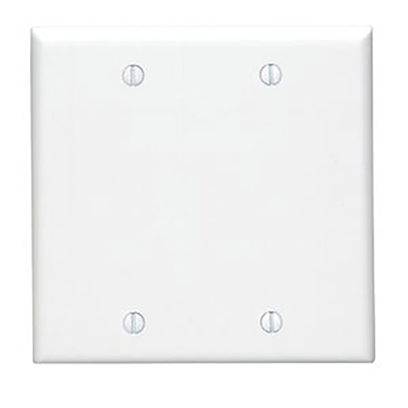 Double Blank Wall Plate