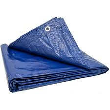 20' x 30' Blue General Purpose Tarp