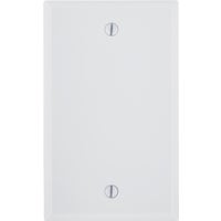 Blank Wall Plate